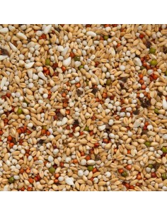 BEYERS SUPER DIETA - 2