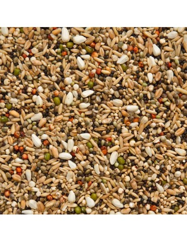 BEYERS MIXTURA RÁPIDA RECUPERACIÓN Y CAPTURA - 2