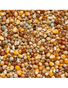 BEYERS CRÍA CON SOJA Y CRIBBS - 2