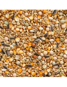 BEYERS PERIODO DESCANSO MEZCLA DE INVIERNO - 2