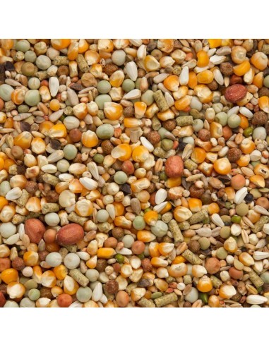 BEYERS PREMIUM KOOPMAN - 3