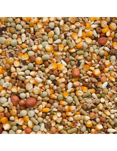 BEYERS PREMIUM KOOPMAN - 3