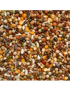 BEYERS OLYMPIA 47 CRÍA Y CARRERAS ESPECIALES - 2 2