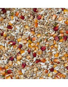 BEYERS SPORT LIGHT GALAXY - 2