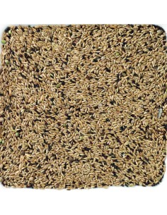 DELI NATURE LIGHT CANARIOS - 20 KG 20 KG - 2 2