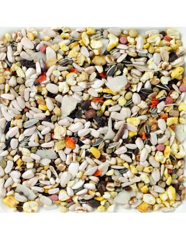 DELI NATURE Nº 64 LOROS SUPREME FRUTAS - 15 KG 15 KG - 3