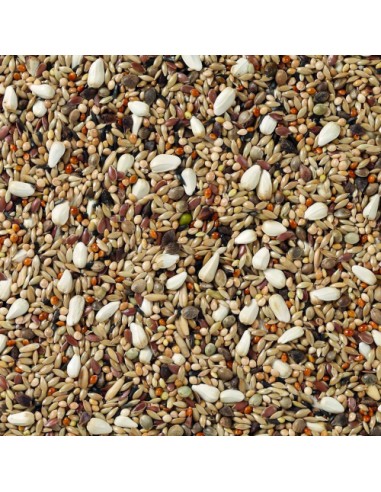 DELI NATURE Nº 72 AGAPORNIS CHAMPION - 20 KG 20 KG - 3