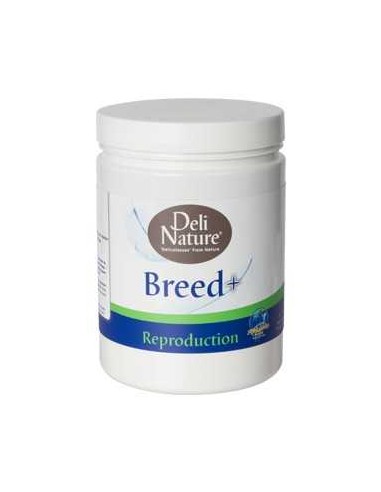 DELI NATURE BREED+ - 500 GR 500 GR - 2