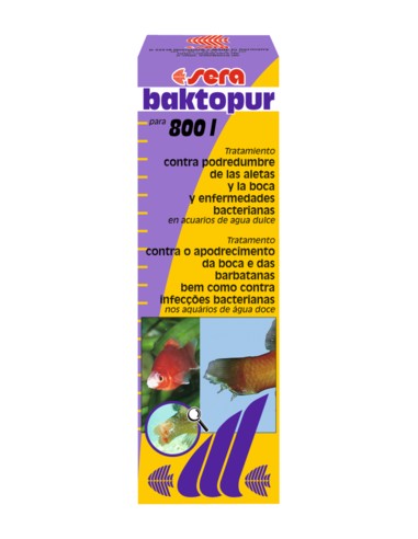 SERA BAKTOPUR - 50 ML 50 ML - 2