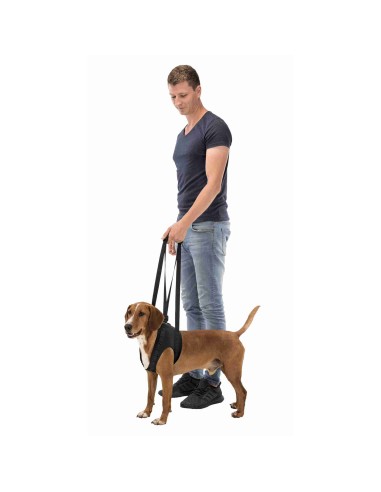 TRIXIE SOPORTE AYUDA ANDADOR PARA PERROS M (HASTA 25 KG) L (HASTA 35 KG) L-XL (HASTA 50 KG) - 2