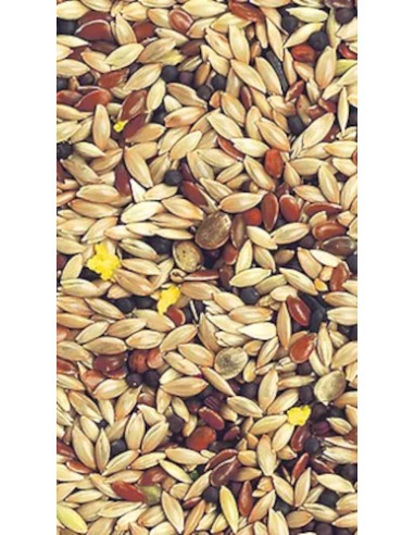 KIKI MIXTURA PARA CANARIOS SIN AVENA 5 KG - 2