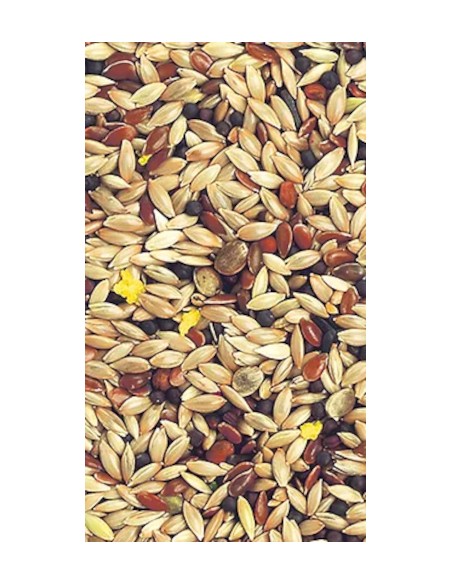 KIKI MIXTURA PARA CANARIOS SIN AVENA 5 KG - 2