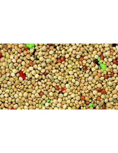 KIKI ALIMENTO PARA PAJAROS EXÓTICOS - 5 KG 5 KG - 2