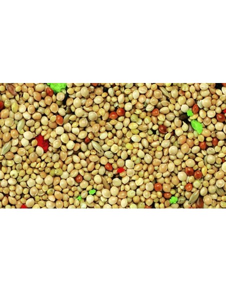 KIKI ALIMENTO PARA PAJAROS EXÓTICOS - 5 KG 5 KG - 2