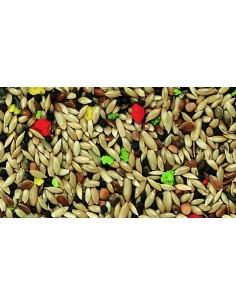 KIKI MIXTURA JILGUEROS ESPECIAL - 25 KG 25 KG - 2