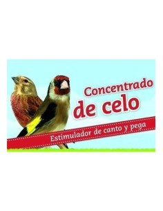 LEGAZÍN PROFESSIONAL CONCENTRADO DE CELO - 200 GR 200 GR - 2