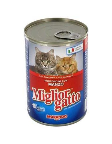 MORANDO MIGLIOR GATTO - BUEY - 2