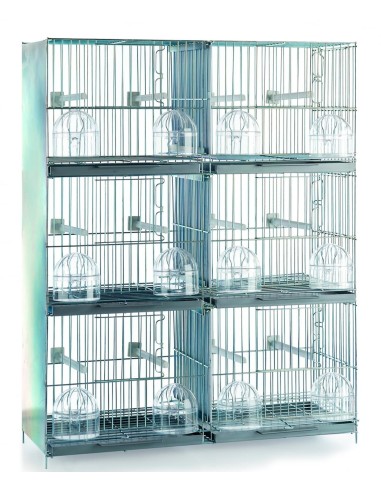 RSL JAULA 6 DEPARTAMENTOS ZINCADA