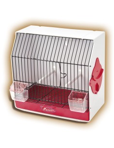 PEDRÓS JAULA PEDROS CONCURSO CURIOSA