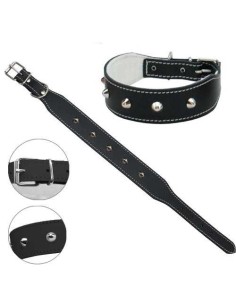 PETPALL COLLAR BULLDOG FRANCES  2