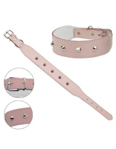 PETPALL COLLAR BULLDOG FRANCES  - 3
