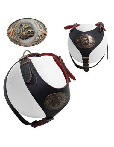 PETPALL ARNES PIT-BULL CON PLACA 