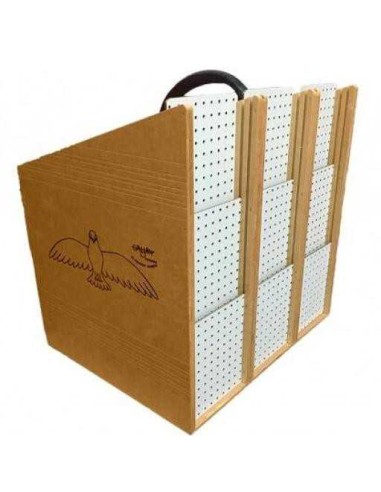 GALIAN COGASA TRANSPORTIN PALOMOS CUÑA - 9 DEPARTAMENTOS