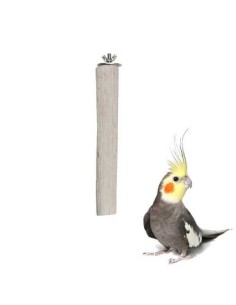 BENELUX PALO DE CALCIO PARA NINFAS Ø3 X 22 CM - 2