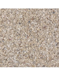 GALIAN COGASA CONCHILLA DE OSTRAS - 20 KG 20 KG - 2