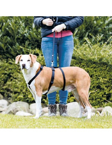 TRIXIE ARNÉS GUÍA SOFT L-XL (75 - 100 CM) M-L (50 - 75 CM) S-M (40 - 65 CM) XS-S (30 - 40 CM) - 3