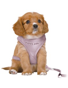TRIXIE ARNÉS SUAVE CON CORREA PARA CACHORROS LILA 26 - 34 CM - 2 2