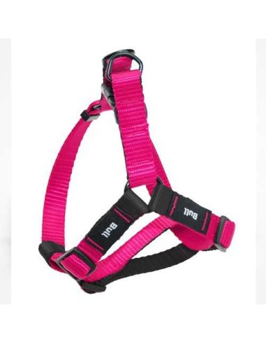 BULL PETRAL BASIC  - 4