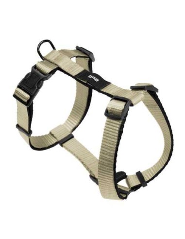 BULL ARNES BASIC  - 4