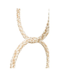 TRIXIE JUGUETE DE ARO CON CUERDA PARA PAJAROS - Ø16 CM Ø16 CM - 2 2