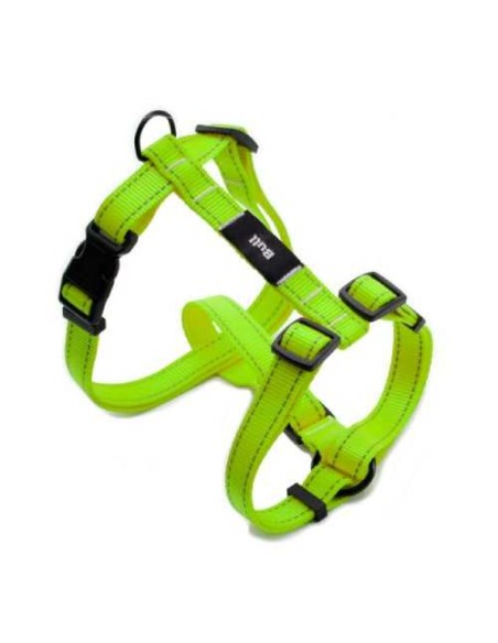 BULL ARNES FLUOR  - 2