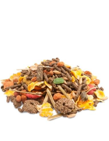 VERSELE LAGA CRISPY MUESLI GUINEA PIGS CAVIA - COBAYAS 1 KG 2 75 KG - 3