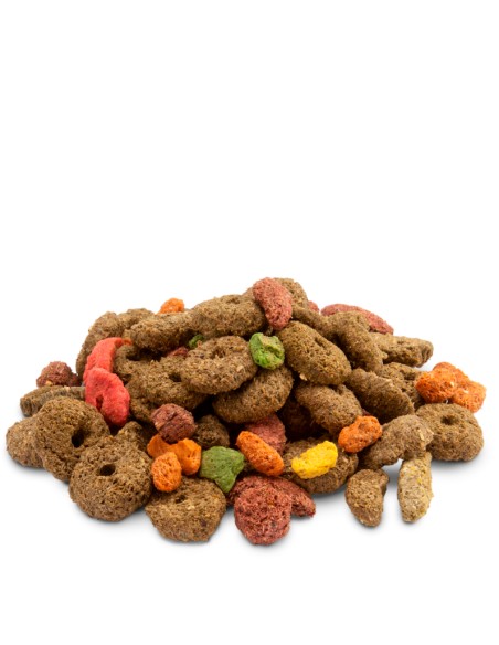 VERSELE LAGA CRISPY MUESLI FIBRES - 650 GR 650 GR - 3