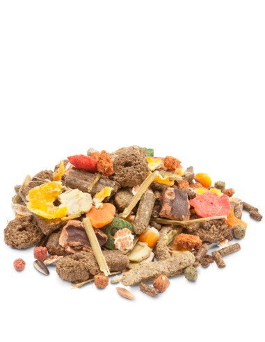 VERSELE LAGA CRISPY MUESLI RABBITS 1 KG 2 75 KG - 3