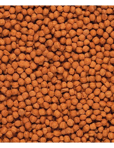 VERSELE LAGA NUTRIBIRD BEO KOMPLET - 500 GR 500 GR - 3