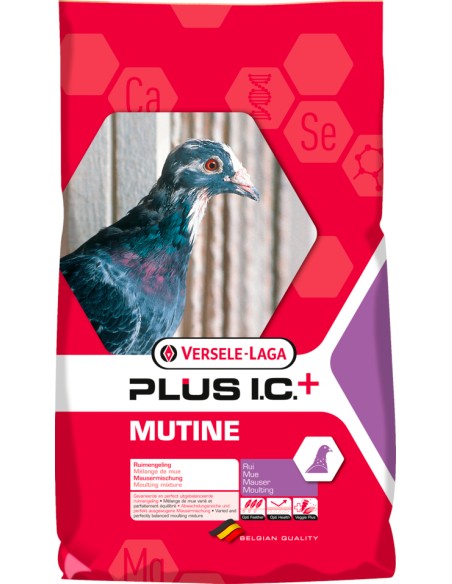 VERSELE LAGA PLUS I.C. MUTINE MUDA - 20 KG 20 KG - 3