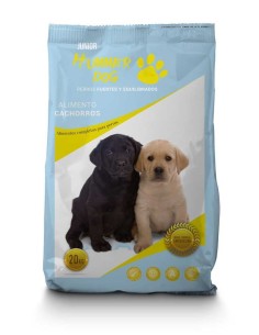 HUMMER DOG CACHORROS - 2