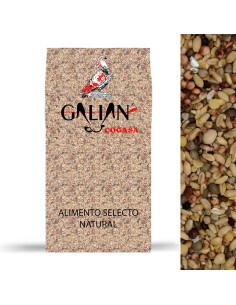 GALIAN COGASA MIXTURA CRIADERO SIN MAIZ PARA PALOMOS DEPORTIVOS - 20 KG 20 KG - 3