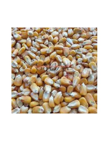 GALIAN COGASA MAIZ PALOMAS NACIONAL Nº1 GALIAN - 25 KG 25 KG - 2