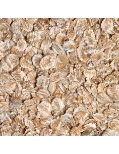 GALIAN COGASA CEBADA EN COPOS - 25 KG 25 KG - 2