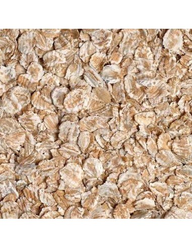 GALIAN COGASA CEBADA EN COPOS - 25 KG 25 KG - 2