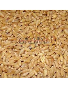 GALIAN COGASA TRIGO GALIAN - 25 KG 25 KG - 2