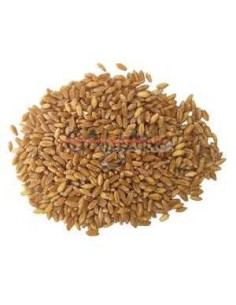 GALIAN COGASA TRIGO DURO GALIAN - 25 KG 25 KG - 2