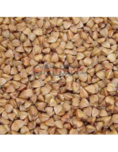 GALIAN COGASA TRIGO SARRACENO GALIAN - 20 KG 20 KG - 2