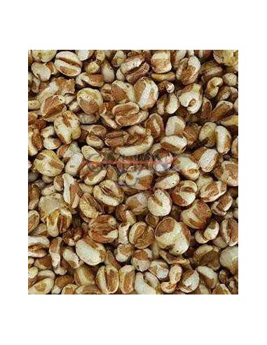 GALIAN COGASA TRIGO INFLADO GALIAN - 20 KG 20 KG - 2