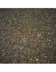 GALIAN COGASA VEZA GALIAN - 25 KG 25 KG - 2